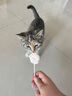 优基猫零食冻干猫爪棒幼猫成猫通用猫咪洁牙棒训练奖励鸡肉味棒棒糖 鸡肉味 3包*3.5g 实拍图