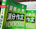 小学生作文套装（套装全3册）小考满分作文+分类作文+优秀作文 三四五六年级适用作文素材辅导书 波波乌作文 实拍图