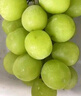 振亿沭云南阳光玫瑰葡萄 新鲜晴王无籽香印提子 当季时令孕妇新鲜水果 净重 3斤 单果8-10g【优选装】 实拍图
