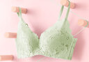 都市丽人内衣女无钢圈小花心文胸聚拢中薄款透气波斯菊性感蕾丝胸罩2B9506 实拍图