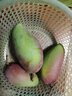 京鲜生 芒芒禄禄3斤装 台农芒+贵妃芒+金煌芒 新鲜水果 实拍图