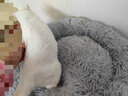 柒哦猫窝保暖冬季狗窝封闭式四季通用甜甜圈猫窝冬天网红宠物垫子用品 保暖长绒深睡窝-灰色 XXL【40斤内适用 80cm】 实拍图