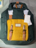 Doughnut旅行双肩包男女电脑包轻便帆布背包学生书包节日礼物 石坂绿x黄 实拍图