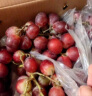 京鲜生 智利进口无籽红提 2kg装 葡萄提子新鲜水果 实拍图