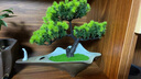 朴记新中式仿真迎客松假山装饰摆件客厅玄关禅意家居茶室办公桌面盆景 山行-青山组合 晒单实拍图