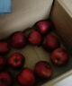 【新鲜采摘】红六福 甘肃花牛苹果新鲜水果苹果 70-80果带箱10斤 实拍图