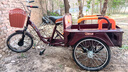 飞鸽飞鸽三轮车老年车成人自行车脚踏车人力老人轻便载货休闲买菜脚蹬 深红色 70型折叠后座 前叉减震 双链条 实拍图