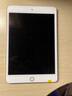 Apple 苹果平板电脑 iPad mini5 二手平板电脑 金色 256G WiFi+4G 实拍图
