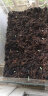 民汇园蔬菜种子家庭园艺四季种阳台盆栽组合套餐简单易种菜种籽 苦苣200粒 实拍图