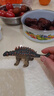 Wenno史前仿真恐龙玩具霸王龙玩具大号恐龙模型儿童恐龙认知过家家玩具 甲龙(Ankylosaur) 实拍图