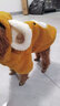 喵先生宠物狗狗衣服泰迪衣服冬季狗衣服中小型犬比熊衣服两脚款棉衣用品 小熊款羊羔绒棉衣 L号建议体重10-12斤 实拍图