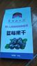 長白山天池蓝莓干 东北长春特产蓝莓果干低温烘焙 不加糖无添加剂独立小包装 盒装100g 实拍图