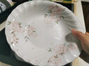 陶趣居日式盘子日本制造樱花餐具套装碗盘3D樱花雨面设计陶瓷套装间取樱 9.4英寸椭圆深盘 实拍图