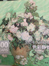 《500年色彩静物》大师经典色彩静物经典全集杨建飞莫奈梵高原作高清临本画册精选水彩绘画油画技 实拍图