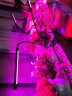 幽麦 LED植物生长补光灯 多肉灯植物夹子灯 三管60LED植物灯 实拍图