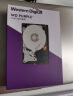 西部数据 监控级硬盘 WD Purple 西数紫盘 2TB CMR垂直 64MB SATA (WD23PURZ) 实拍图