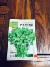 花翁 鸡毛菜种子18天可采摘四季小白菜上海青菜种籽油菜阳台盆栽蔬莱孑 实拍图