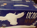 光明 优加梦幻盖纯牛奶250ml*10盒（3.8g乳蛋白）包装随机年货礼盒装 实拍图
