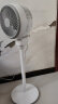 志高（CHIGO）空气循环扇 风扇电风扇家用落地扇 卧室客厅办公可拆洗节能轻音低噪摇头电扇台立式两用 X09RC 晒单实拍图