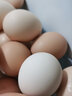 杞农优食【JD快递】可生食标准鲜鸡蛋 生鲜鸡蛋京东新鲜土鸡蛋超市礼盒装 可生食鸡蛋10枚装 实拍图