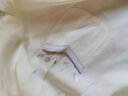 金三塔打底衫100%桑蚕丝圆领短袖打底衫YZF5B705 白色8100  XL 实拍图