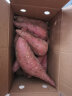 六鳌红薯 蜜薯烤地瓜 2.5kg 8-12根/箱  新鲜蔬菜 健康轻食 福建农特产 实拍图