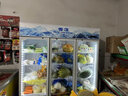 雪花展示柜冷藏大容量饮料柜冰柜商用保鲜柜超市玻璃门冰箱立式啤酒柜 【1.8米宽】上机三门白色直冷 实拍图