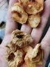 蔚献沙果干新货苹果圈酸甜口感自然成熟苹果干果圈休闲零食特产 500g 实拍图
