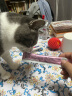 parlmu帕蓝姆猫零食猫条100支*15g桶装成猫幼猫鲜肉猫湿粮罐头混合口味 实拍图