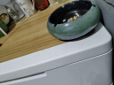 TaTanice烟灰缸 家用客厅陶瓷烟灰缸创意办公室烟缸摆件 中号深邃绿 实拍图