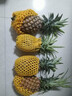 悦己海南凤梨新鲜香甜小菠萝应季热带水果 孕妇水果现摘现发  凤梨8.5-9斤装（4-6个中果） 实拍图
