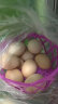 鹤农益得笨土鸡蛋生鲜不含沙门氏菌新鲜农家散养孕妇喜蛋精品礼盒 40枚 1800g +土鸡蛋 实拍图