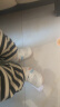 G.DUCK KIDS小黄鸭春夏款0-1岁宝宝软底学步鞋小童透气网面鞋3-6-10个月婴幼 桔色 16码内长12.0cm 晒单实拍图