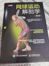 网球运动解剖学 第2版(人邮体育出品) 实拍图