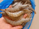 首鲜道大虾 虾 新鲜盐田大虾盐冻4斤青虾大明虾生鲜白虾 20-30规格18-22厘米 3斤(净重) 实拍图