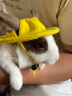 共度（Gong Du）兔兔衣服兔子印花裙子冬季牵引小宠物服装 小宠牵引绳金丝熊帽子 大号（适合幼兔/成兔） 晒单实拍图