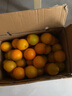 江西赣南早脐橙整箱当季新鲜早橙子榨汁水果礼盒皮薄多汁节日团购 【实惠】净重18斤单个150g+ 实拍图
