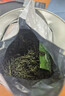 川盟新茶上市  小叶苦丁茶 四川青山绿水茶叶新茶200克绿茶明前 苦丁茶 实拍图
