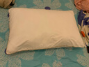 罗莱（LUOLAI）家纺枕头枕芯抗菌防螨五星级酒店枕 【中枕】净享阻螨抗菌丝柔枕 X 实拍图