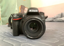 尼康/Nikon D850 D700 D810 D800 D750 D610全画幅单反二手相机 尼康D750【单机身】 【95新】 实拍图