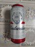 百威（BUDWEISER）淡色拉格 听装百威啤酒 450ml*20听装整箱 红罐 450mL 20罐 整箱装 实拍图