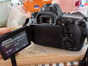 佳能6d2 mark2单反相机 专业全画幅数码单反相机  踏青打鸟旅行婚礼拍照 高像素高性能相机 扫街旅拍 EOS 6D2单机拆【不含镜头 建议选购套装】 套餐四【下单套餐4免费升级套餐5配件升级不加价】 实拍图