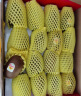 佳沛（zespri）新西兰阳光金奇异果经典果16个装 单果约85-102g 生鲜水果礼盒 实拍图