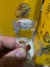 天玉煌玉煌小将 贵州茅台镇纯粮酿造53度酱香型白酒 53%vol 500mL 1瓶 玉煌小将 实拍图