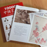 现货 10000年中国艺术史（全2册）（从山顶洞人装饰品说起的10000年中国艺术史！） 红色 实拍图