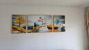 Sixpoetry 客厅装饰画现代简约沙发背景墙壁画轻奢三联晶瓷画大气高档挂画 富羽纳祥（铝合金外框） 镶钻画左右50*70+中间100*70亮面 实拍图