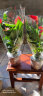 蝴蝶之舞红掌一帆风顺盆栽植物室内花卉好养土培大盆水养四季常青绿植 红掌40-50厘米2-3颗 含盆 实拍图