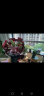 馨仪母亲节鲜花速递百合花玫瑰花束同城配送生日礼物全国花店送花 19朵红玫瑰+9朵百合花束 晒单实拍图