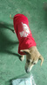 Lanswood 狗狗衣服拉布拉多金毛大型犬小型犬泰迪柯基柴犬狗衣服中大型犬 红衣-中国年兽 4X建议22斤左右 实拍图