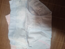 爱莉儿&欧萝拉少女内裤学生女大童13-15岁初中女生发育期12岁高中青少年8127M 实拍图